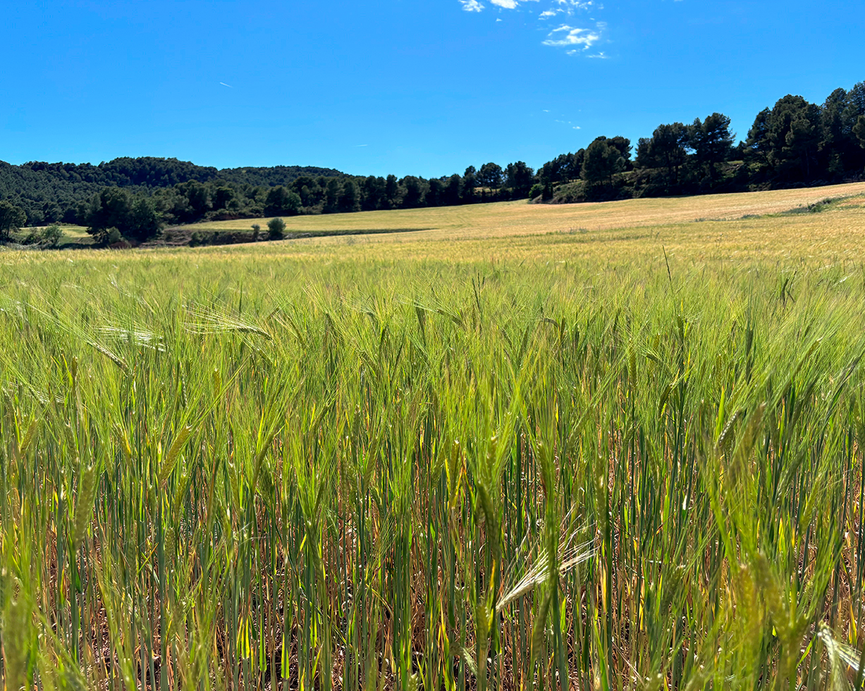 Servei 360º a l'agricultor